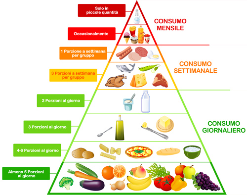 La digestione – La piramide alimentare | imparo